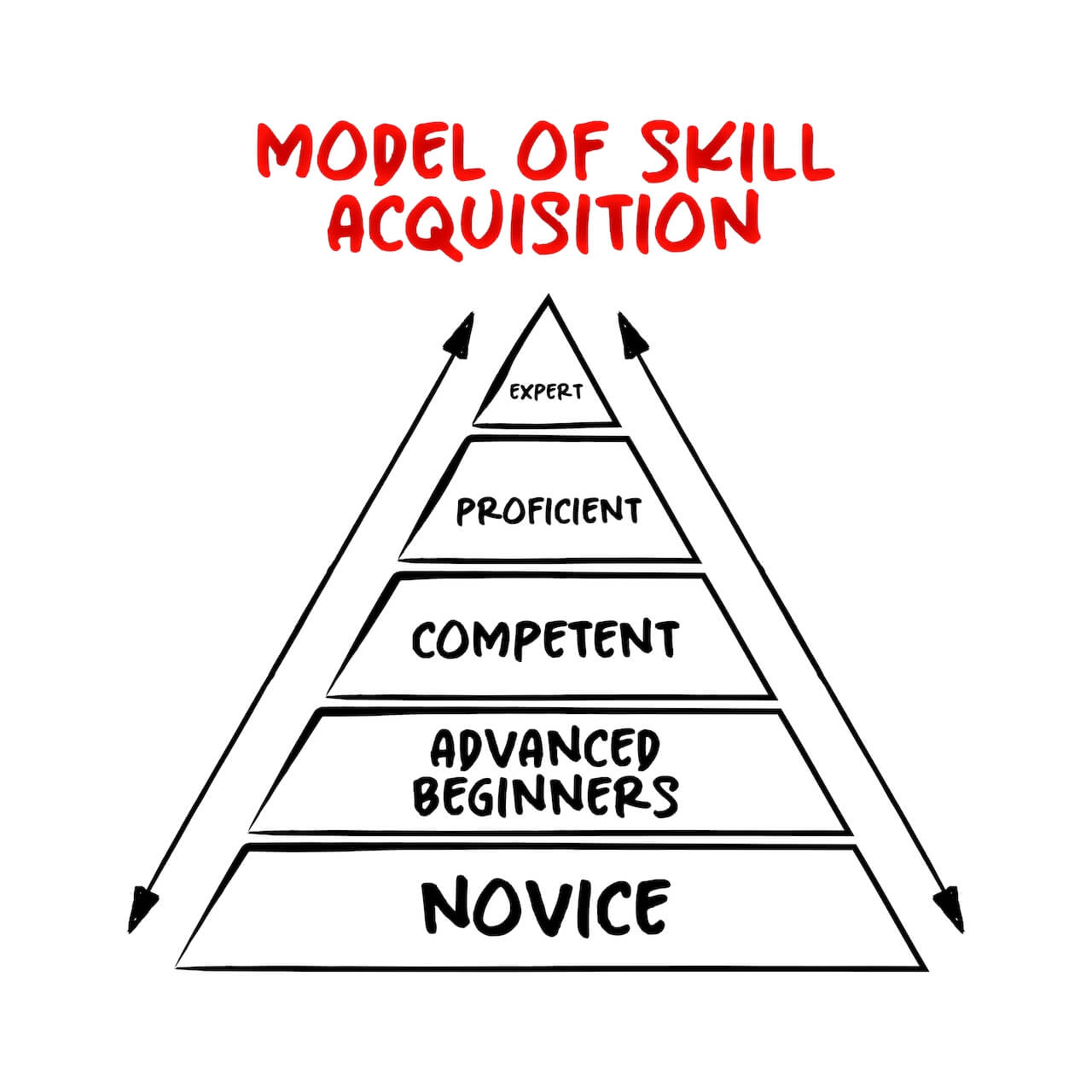 dreyfus model of skills acquisition